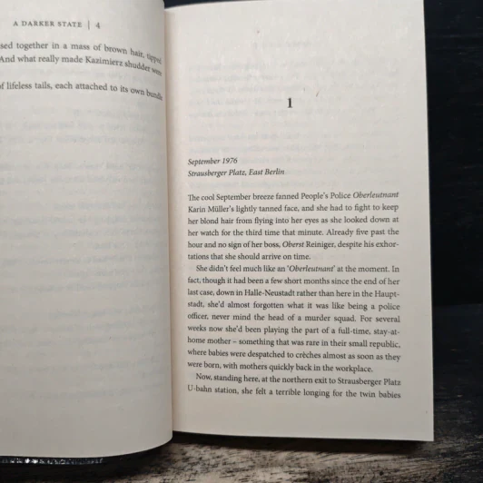 A Darker State - David Young รูปที่ 6