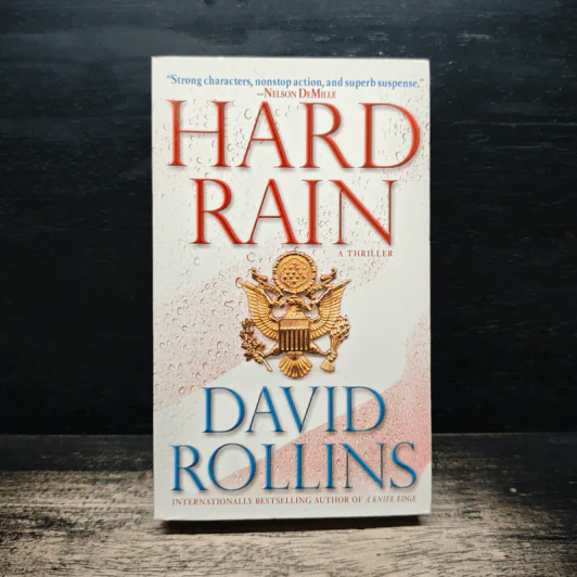 Hard Rain - David Rollins รูปที่ 1