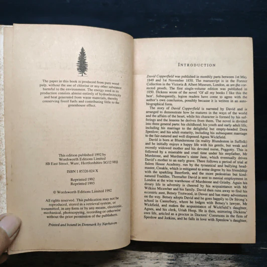 David Copperfield - Charles Dickens รูปที่ 6