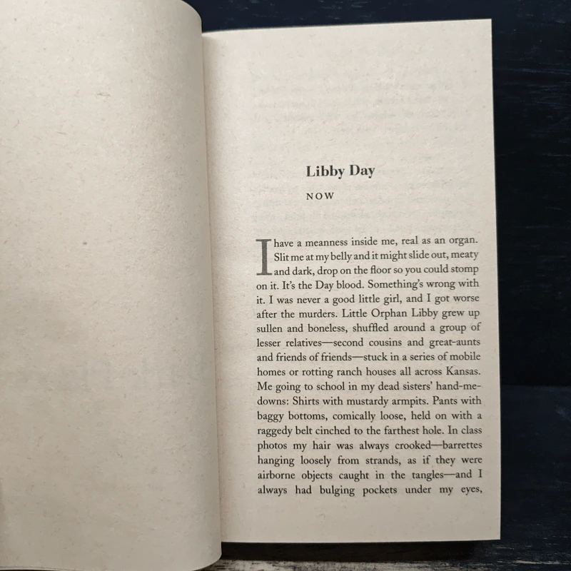 Dark Places - Gillian Flynn รูปที่ 7