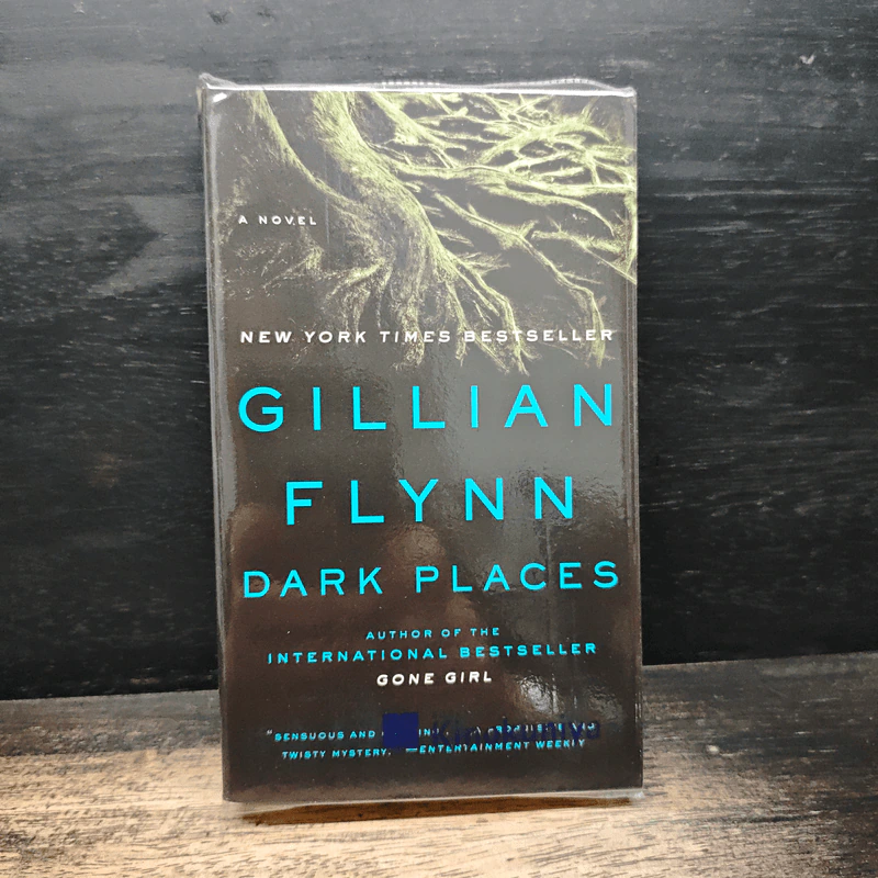 Dark Places - Gillian Flynn รูปที่ 1