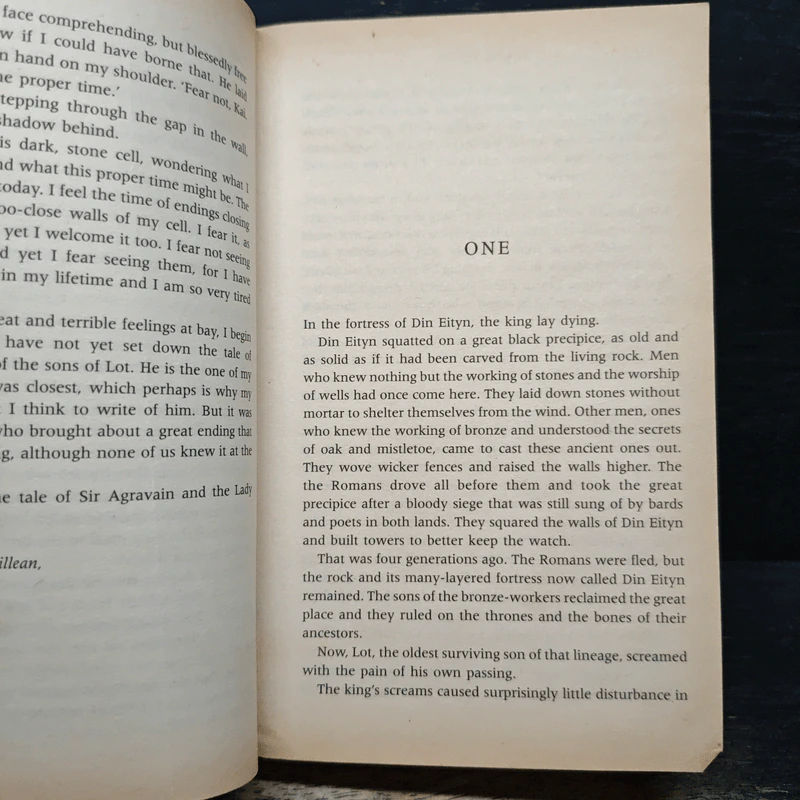 Camelot's Shadow - Sarah Zettel รูปที่ 7