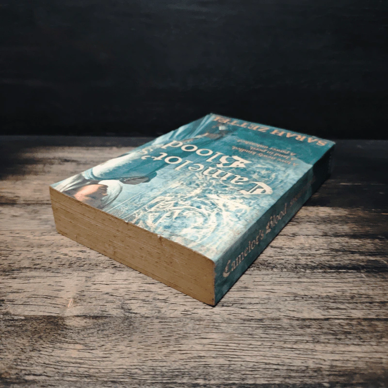 Camelot's Shadow - Sarah Zettel รูปที่ 5