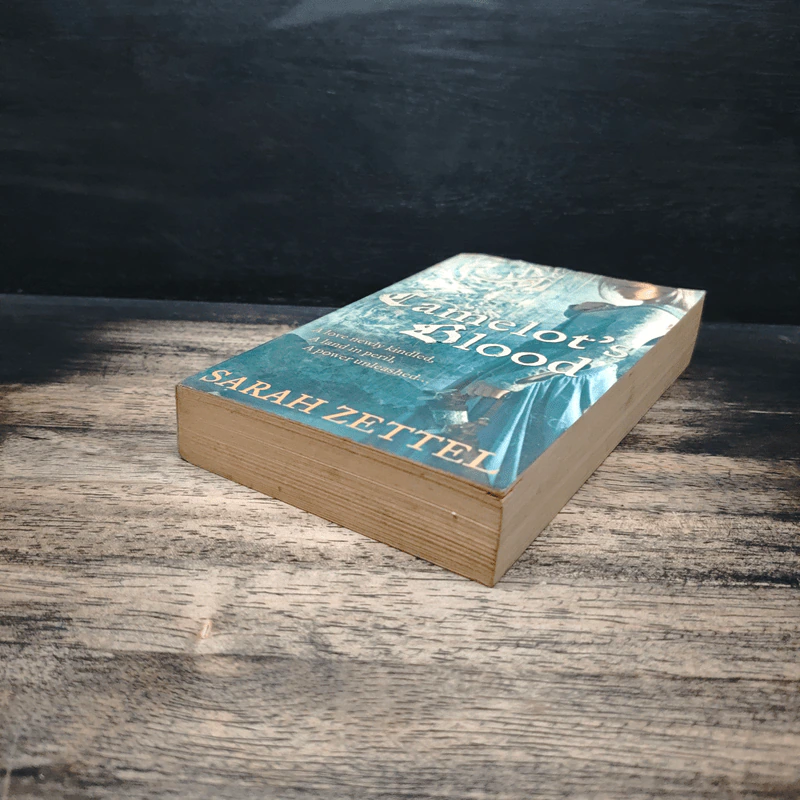 Camelot's Shadow - Sarah Zettel รูปที่ 4
