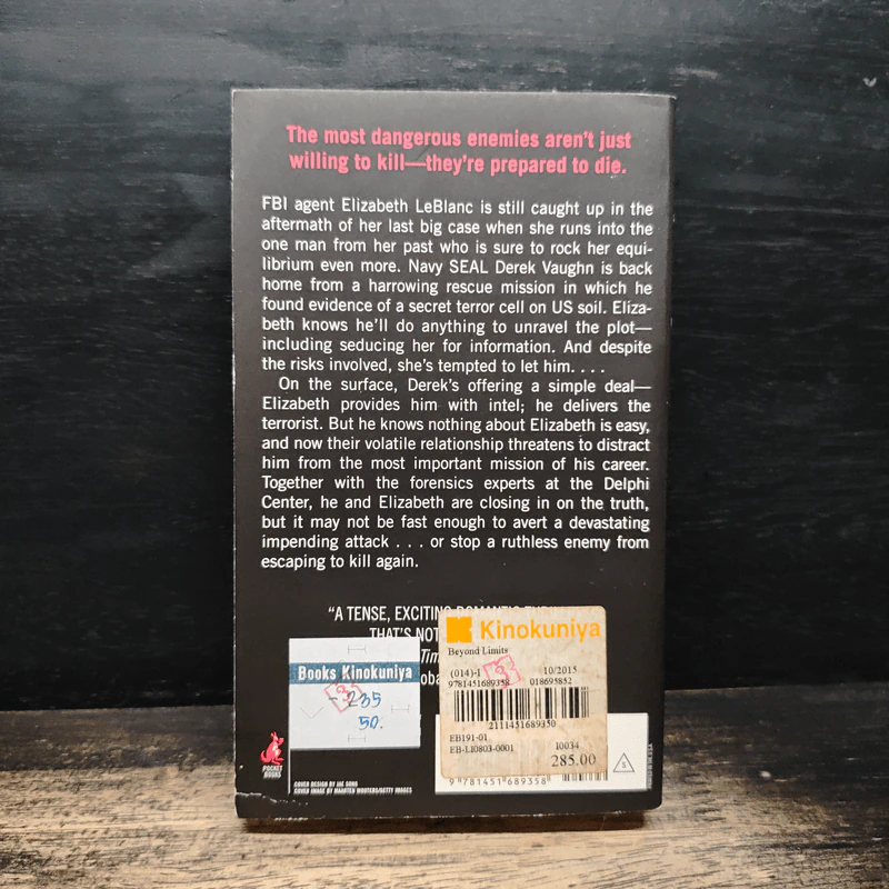 Beyond Limits - Laura Griffin รูปที่ 2
