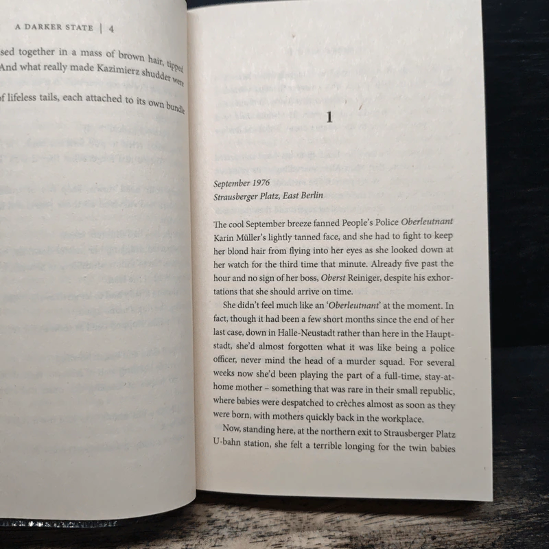 A Darker State - David Young รูปที่ 6