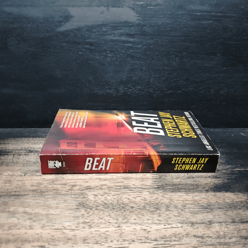 Beat - Stephen Jay Schwartz รูปที่ 3
