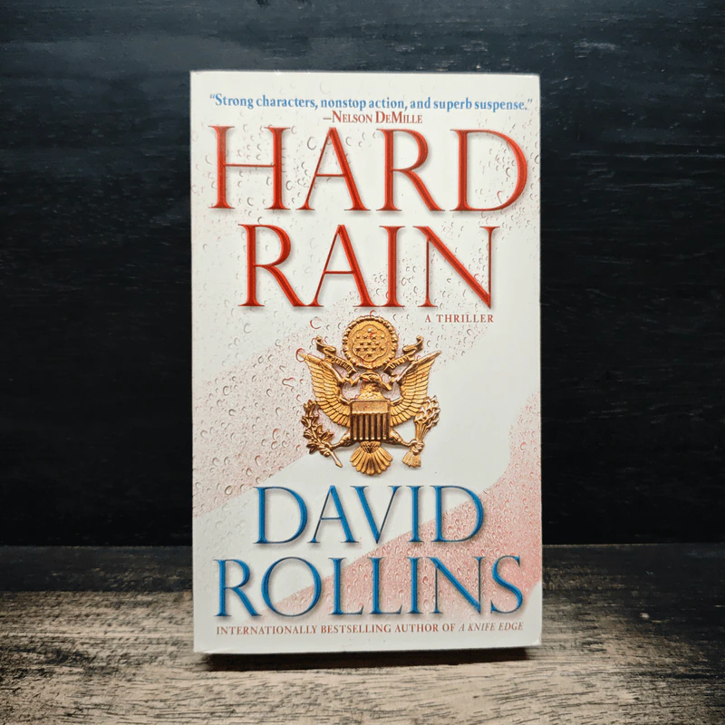 Hard Rain - David Rollins รูปที่ 1