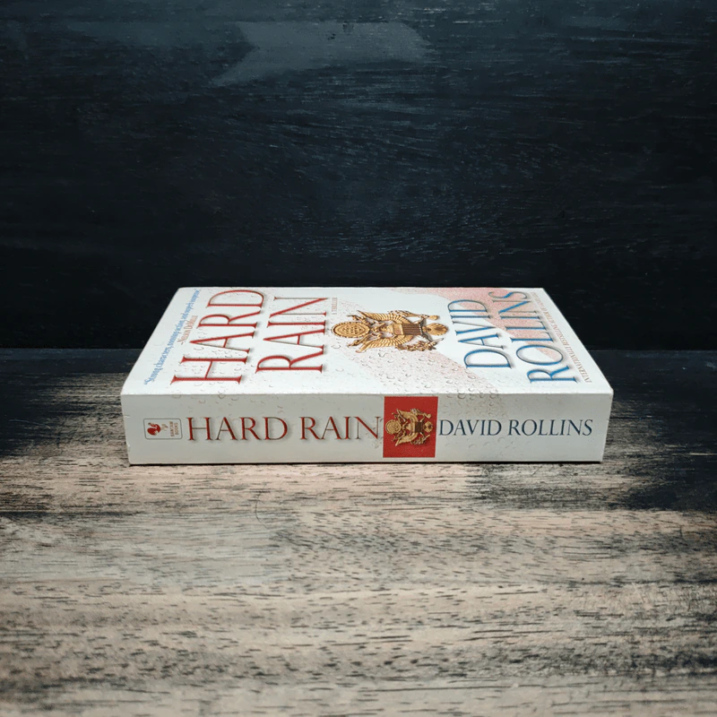 Hard Rain - David Rollins รูปที่ 3