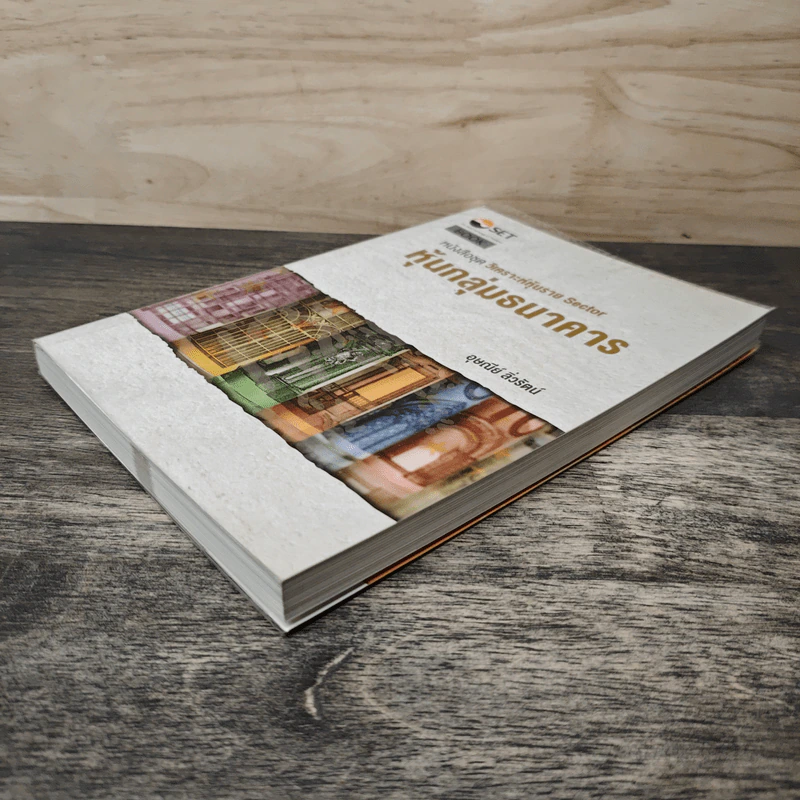 หนังสือชุดวิเคราะห์หุ้นราย Sector หุ้นกลุ่มธนาคาร - อุษณีย์ ลิ่วรัตน์ รูปที่ 3