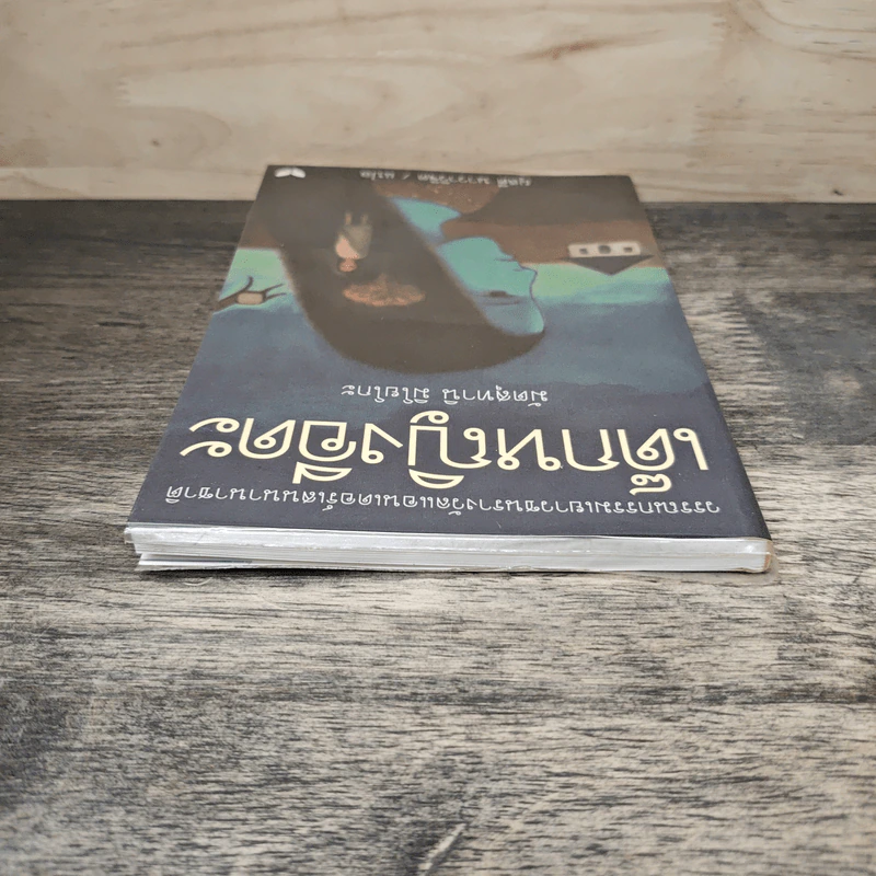 เด็กหญิงอีดะ - มัตสุทานิ มิโยโกะ, ผุสดี นาวาวิจิต รูปที่ 4