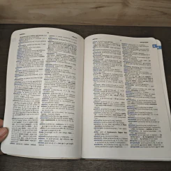 Italian-English Dictionary : Dizionario Italiano-Inglese รูปที่ 7