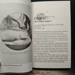Stalking Jack the Ripper - Kerri Maniscalco รูปที่ 6