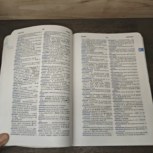 Italian-English Dictionary : Dizionario Italiano-Inglese รูปที่ 8