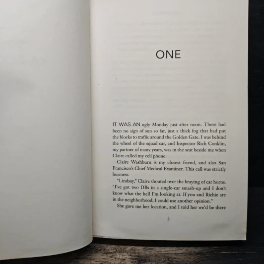 Unlucky 13 - James Patterson, Maxine Paetro รูปที่ 7