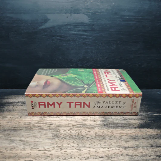 The Valley of Amazement - Amy Tan รูปที่ 3