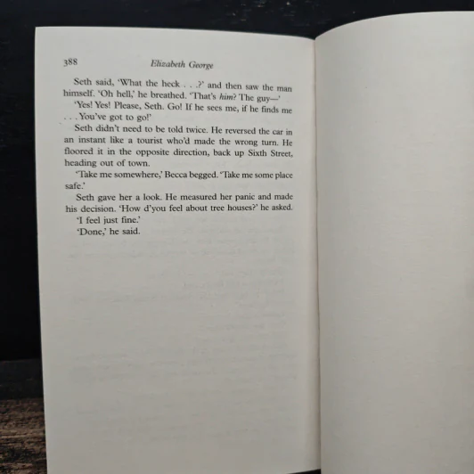 The Edge of Nowhere - Elizabeth George รูปที่ 8
