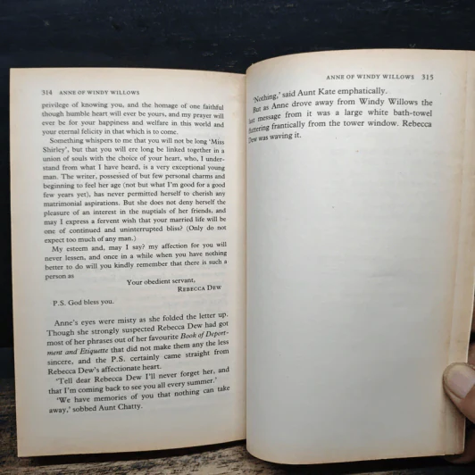 Anne of Windy Willows - L.M.Montgomery รูปที่ 8