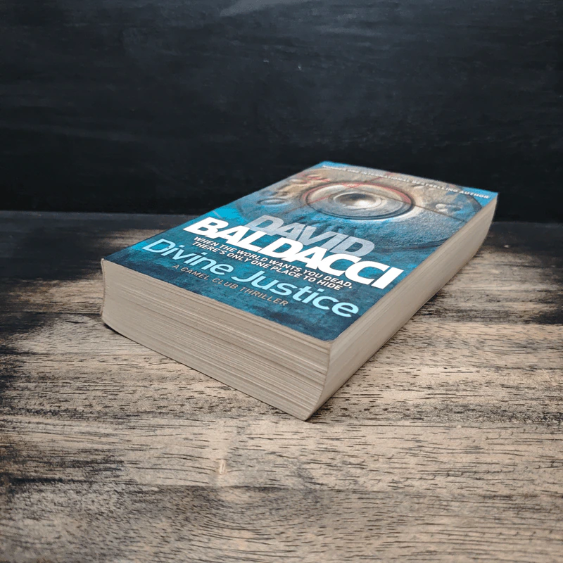 Divine Justice - David Baldacci รูปที่ 4