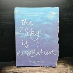 The Sky Is Everywhere - Jandy Nelson