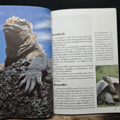 นักวิทยาศาสตร์ผู้เป็นอัจฉริยะของโลก ชาร์ลส์ ดาร์วิน รูปที่ 7