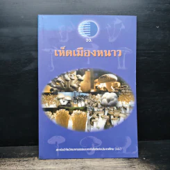 เห็ดเมืองหนาว รูปที่ 1