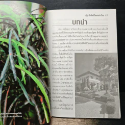 ปลูกไม้เสริมดวงบ้าน รูปที่ 7