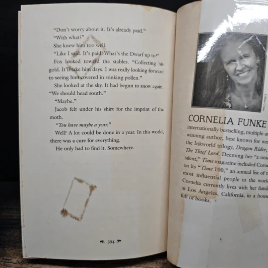 Reckless - Cornelia Funke รูปที่ 8