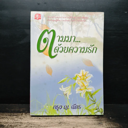 ตามมา...ด้วยความรัก เล่ม 2 - กรุง ญ. ฉัตร รูปที่ 1