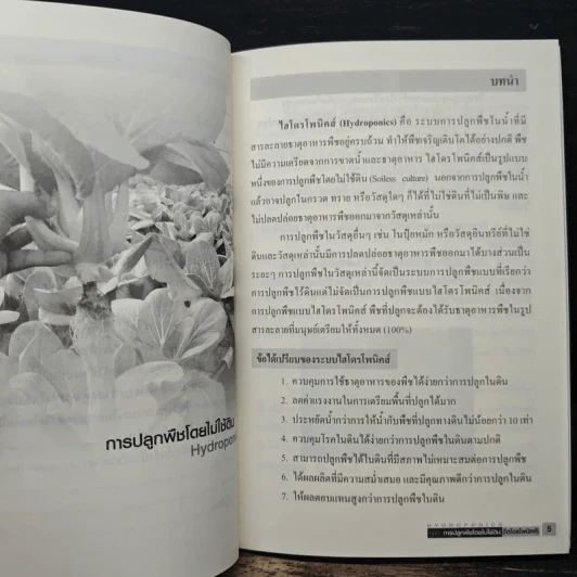 คู่มือการปลูกพืชโดยไม่ใช้ดิน (ไฮไดรโพนิคส์) รูปที่ 8