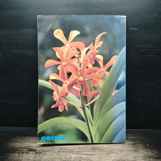 คู่มือเลี้ยงกล้วยไม้ Orchid รูปที่ 2