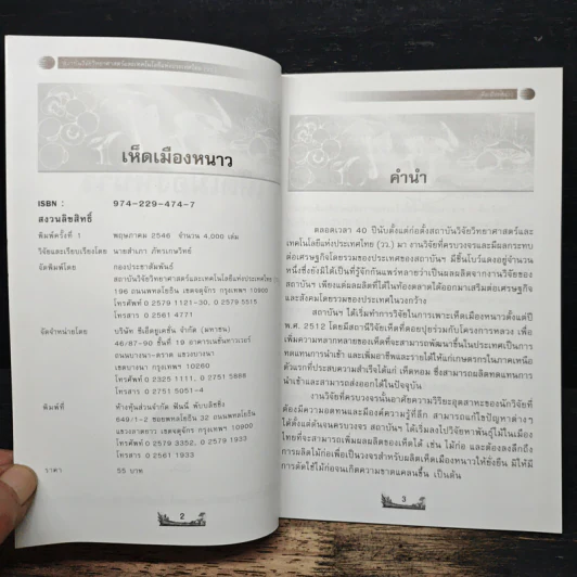 เห็ดเมืองหนาว รูปที่ 6
