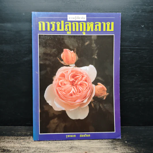 การปลูกกุหลาบ - จุฑามาศ รูปที่ 1