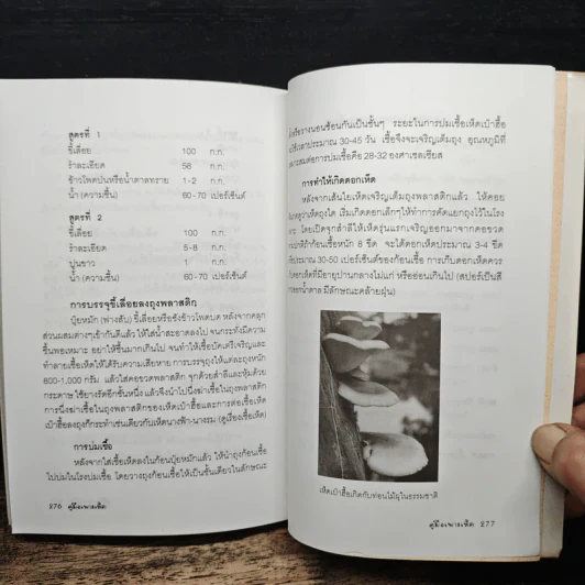 คู่มือเพาะเห็ด Mushroom Handbook - บรรณ บูรณะชนบท รูปที่ 9