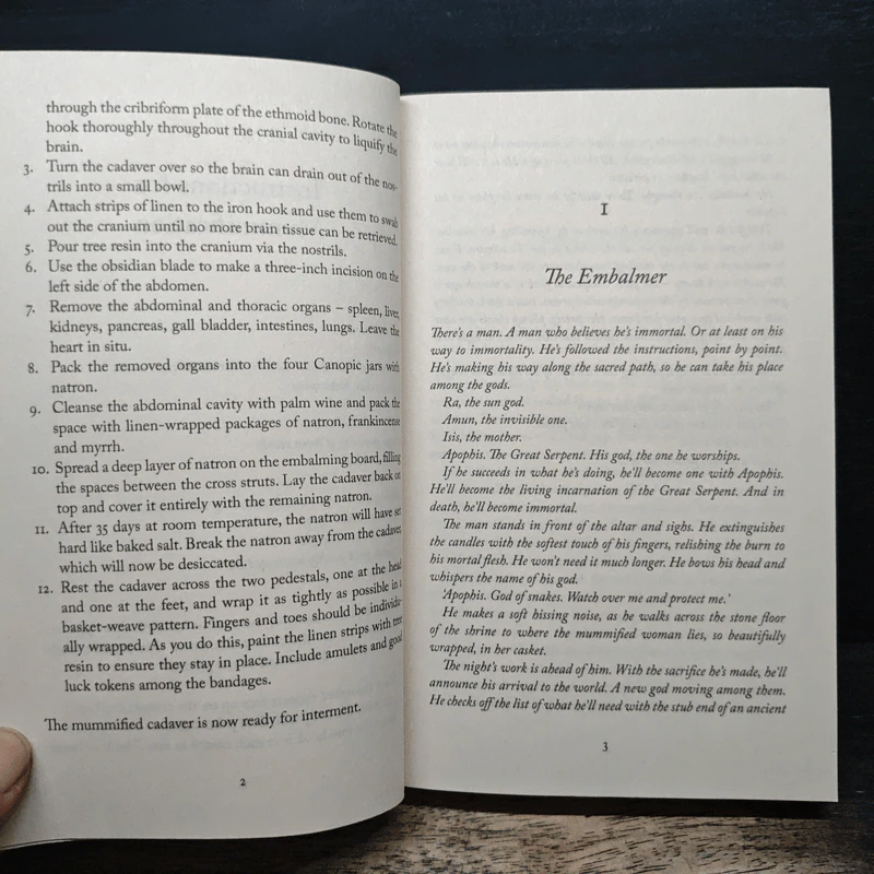 The Embalmer - Alison Belsham รูปที่ 7