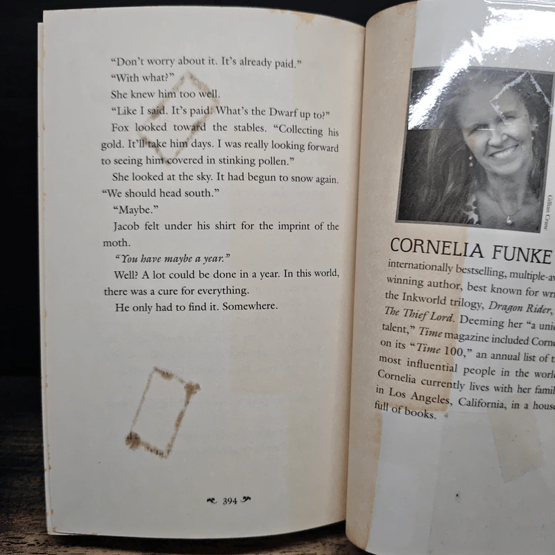 Reckless - Cornelia Funke รูปที่ 8