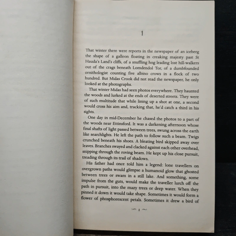 The Girl with Glass Feet - Ali Shaw รูปที่ 7