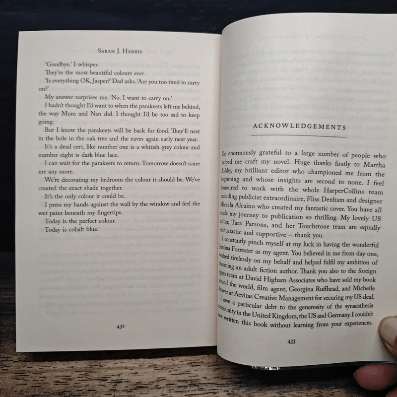 The Colour of Bee Larkham's Murder - Sarah J. Harris รูปที่ 8