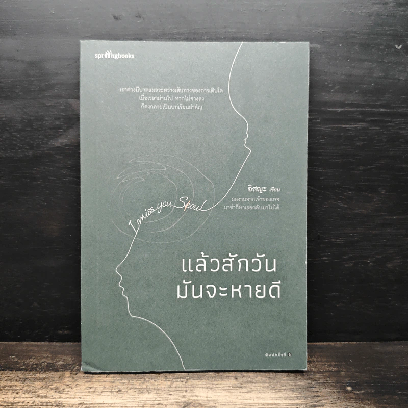 แล้วสักวันมันจะหายดี - อิสญะ รูปที่ 1