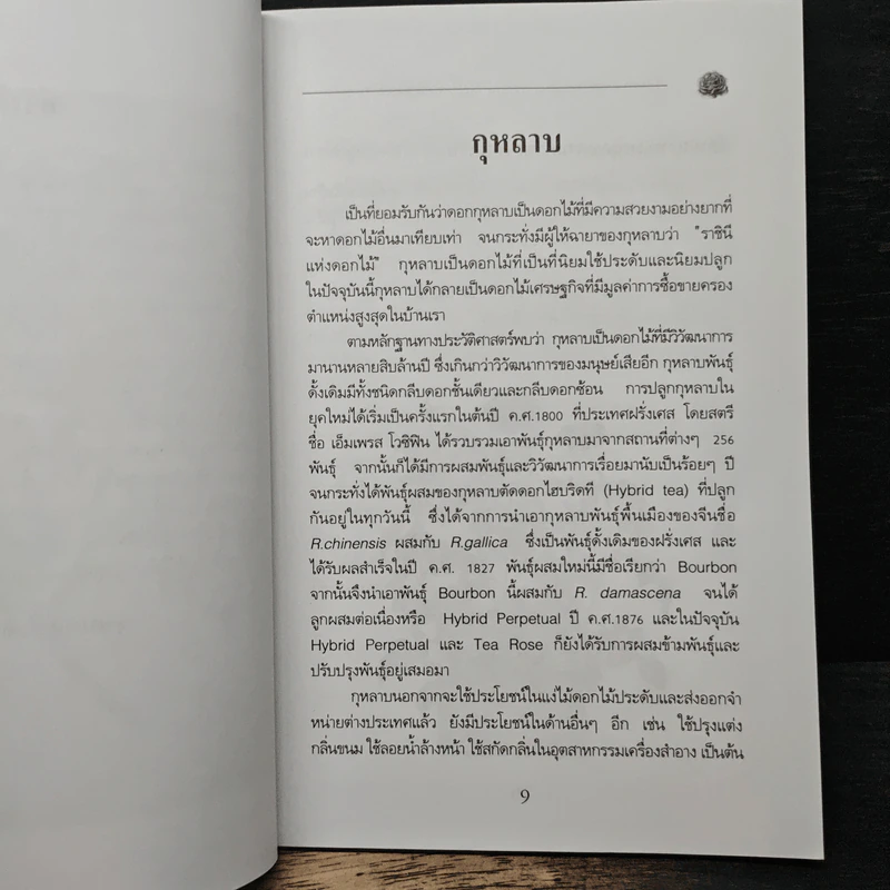 การปลูกกุหลาบ - จุฑามาศ รูปที่ 7