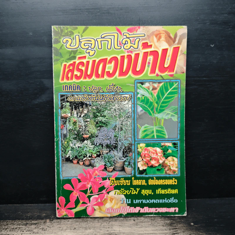 ปลูกไม้เสริมดวงบ้าน รูปที่ 1