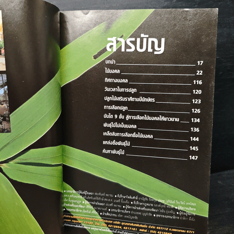 ปลูกไม้เสริมดวงบ้าน รูปที่ 6