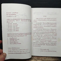 นิทานธรรม : พญาลิงผู้เสียสละ รูปที่ 6