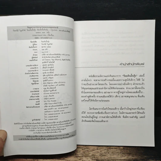 ร้อยฝันปั้นรุ้ง - วันทนีย์ วิบูลกีรติ รูปที่ 6