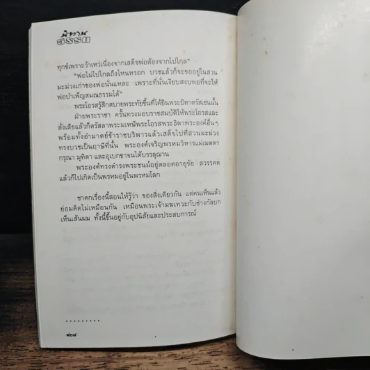 ผู้นำกลางทะเลทราย รูปที่ 9