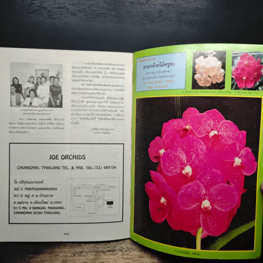 ความสุขฉบับ กล้วยไม้ไทย THAI ORCHIDS MAGAZINE - ประยูร จรรยาวงษ์ รูปที่ 7
