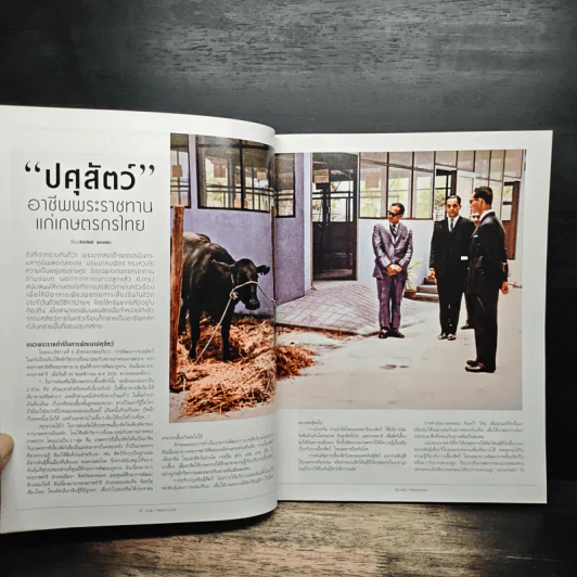 แพรว ปีที่ 39 ฉบับที่ 931 10 มิ.ย.2561 รูปที่ 8