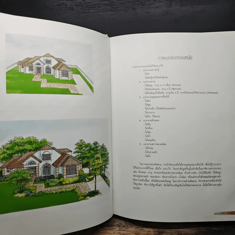 พรรณไม้เพื่อการตกแต่ง Plants For Decoration - รองศาสตราจารย์พรรณเพ็ญ ฉายปรีชา รูปที่ 8