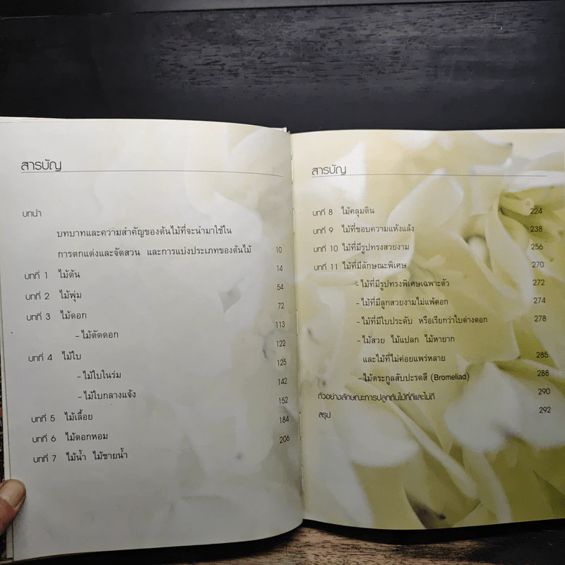พรรณไม้เพื่อการตกแต่ง Plants For Decoration - รองศาสตราจารย์พรรณเพ็ญ ฉายปรีชา รูปที่ 7