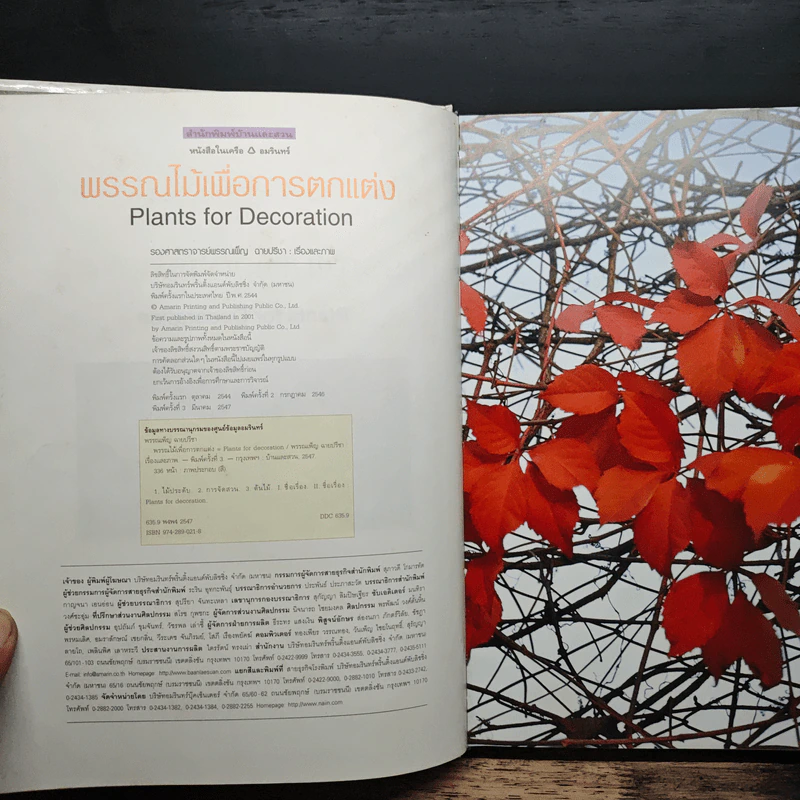 พรรณไม้เพื่อการตกแต่ง Plants For Decoration - รองศาสตราจารย์พรรณเพ็ญ ฉายปรีชา รูปที่ 6